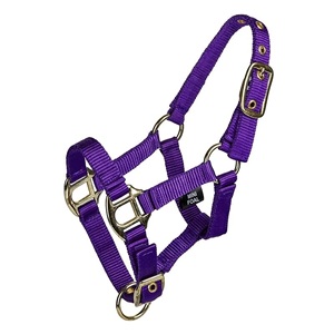 En gros, Mini-voile en nylon pour cheval miniature, réglable, avec ferrures en laiton de qualité supérieure, pour l'entraînement, OEM - Product Image 3
