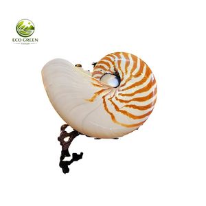 Concha de Nautilus de Alta Gama, Tesoro Marino de Lujo, Concha Espiral Natural para Decoración del Hogar, Regalo para Coleccionistas, Espécimen Oceánico Raro - Product Image 1
