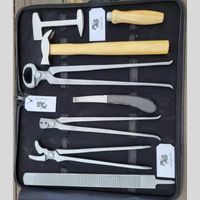 Kit de Herramientas Profesional de Acero Inoxidable de Alta Resistencia Clase II para Herradores de Caballos, Juego Completo para el Cuidado y Mantenimiento de Pezuñas Equinas