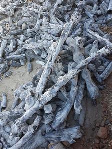 Charbon de bois blanc de la société BIWOOD Vietnam, idéal pour le barbecue, best-seller pour le barbecue, prêt à la vente - Product Image 6