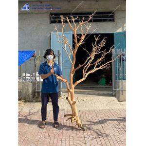 ไม้ลอยน้ำธรรมชาติขนาดใหญ่ ตกแต่งตู้ปลา รูปทรงไม่สม่ำเสมอ ทนทาน ผลิตในเวียดนาม - Product Image 5