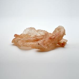 Gésier de poisson tropical séché, saveur excellente, emballé pour la fabrication alimentaire et l'utilisation industrielle en vrac - Product Image 4