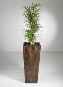 Modern wooden <b>planter</b>, succulent garden <b>box</b>, wooden indoor <b>planter</b>, stylish plant holder, Eco friendly <b>planter</b>, - Product Image 3