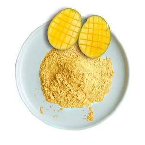 SUSTAINABLE SOURCE MANGO JUICE POWDER - FOOD GRADE INSTANT DRINK POWDER WHOLESALE - Product Image 2