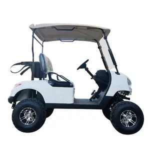 Top Motor 2024 China New Design Electric Golf Cart