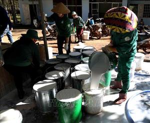 Látex de caucho natural de alta calidad (HA/LA) de Vietnam con embalaje estándar - Product Image 5