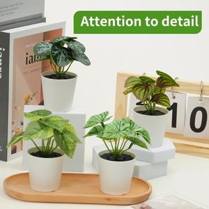 Set di 6 Piante Artificiali in Vaso Stile Fattoria per Casa, Ufficio, Soggiorno, Cucina, Aula, Tavolo, Scaffale, Scrivania - Decorazioni con Piante Finte - Product Image 6