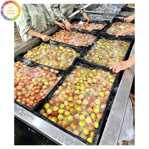 Litchis surgelés de haute qualité IQF sans sucre ajouté, fruits tropicaux sucrés, emballés sous vide, fournisseur en gros pour la restauration - Product Image 2