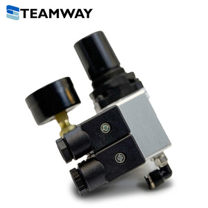Régulateur de pression d'air pneumatique TEAMWAY R07-3V2-220V-L avec électrovanne 220V pour unité de traitement d'air comprimé - Product Image 4