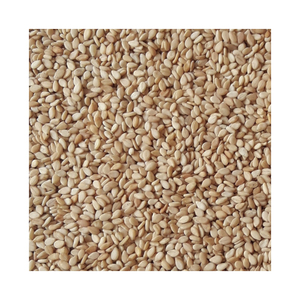 Graines de sésame blanc naturel non décortiquées en gros, en stock, non-OGM, sans conservateurs, riches en protéines - Product Image 1