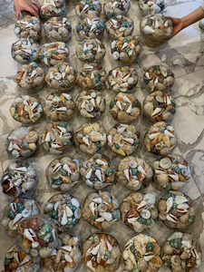 Rustic Handmade Durable Seashell Serving Tray Basket with Colorful Natural Sea Shells Assorted Crafts Christmas Ocean Gifts - Product Image 4