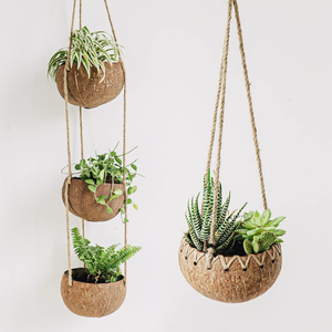Muestra Gratis y Precio Económico, Maceta Natural de Cáscara de Coco de Vietnam/Maceta de Cáscara de Coco para Jardín de Flores, Bonsái - Product Image 6