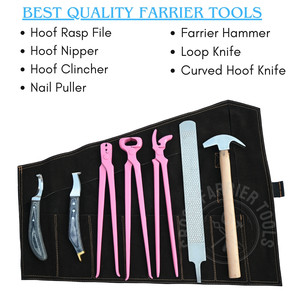 Kit de fermeur avec coupe-ongles à sabots rose, marteau de fermeur, pince à clous courbée, tire-clous, râpe, lime, couteau à sabots à boucle aiguisée, antidérapant - Product Image 2