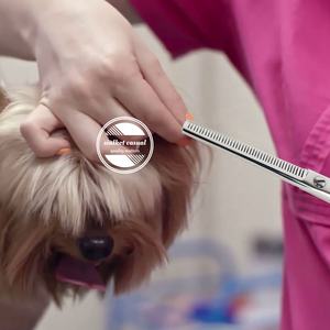 Thinning <b>Shears</b> for <b>Dogs</b> and Cats with Leather Case | Stainless Steel Pet Thinning Scissors Wholesale High Quality - Product Image 2