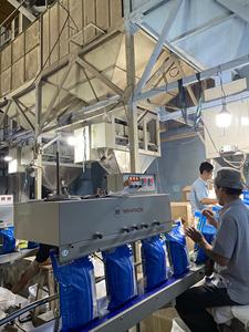 ARROZ CALROSE DE GRANO MEDIO PARA EL MERCADO DEL MEDIO ORIENTE, PULIDO CON ACEITE/ SIN PULIR CON ACEITE - MARCA OEM Por VILACONIC (Sra. Ellen) - Product Image 5