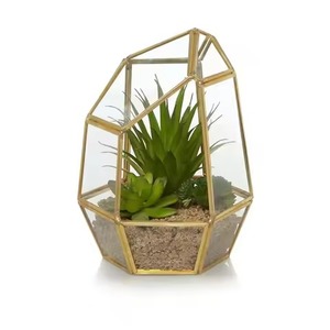 Terrarium de table en métal et verre, élégant présentoir pour plantes d'intérieur, pièce d'accentuation décorative pour la maison - Product Image 2