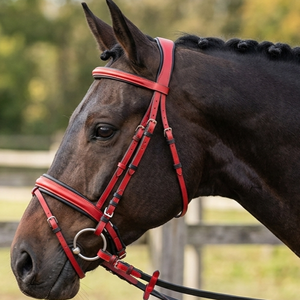 HM GLOBAL Equipo Ecuestre: Juego de Brida de Resistencia de PVC Genuino/Premium con Riendas de Agarre de Goma y Cabezada de PVC Reforzada para Caballo Full Cob - Product Image 3