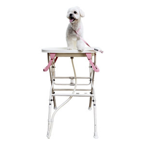 Soporte para Bañera de Mascotas HEDYS GROOMING, Estilo Bonito, Ajustable, Portátil, 3 Niveles de Altura, Plegable, Estructura Estable, para Perros, PP/Aluminio/PTE - Product Image 1