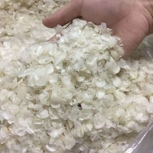 เกล็ดปลาคุณภาพสูงจากผู้ผลิตเวียดนามในราคาถูกเกล็ดปลานิลธรรมชาติ /ms.thi - Product Image 1