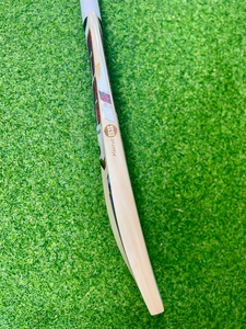 Bate de Cricket SS T20 W CUP EDITION con Mango Corto - Product Image 4