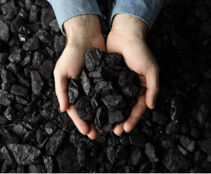 Charbon de Bois en Gros 100% Naturel Noir pour Barbecue, Bâtonnets de Bois Dur de Mangrove - Product Image 3