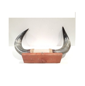 Natural Black Buffalo Horns Polished Cow Horns / Bull Horns / Buffalo Horns <b>Gift</b> wood base for Powder Horn - Product Image 1