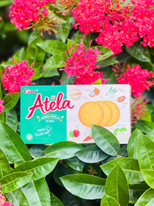 Nouveauté exclusive : Biscuits salés sucrés croustillants, craquelins végétaux faibles en glucides et en matières grasses, en boîte, prix imbattable, OEM ODM, échantillon gratuit - Product Image 3
