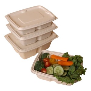 Contenedor Rectangular Desechable de 750 ml, Moldeado en Pulpa, de Calidad Superior, Estilo Oceánico Global Moderno, Fabricación OEM ODM en India, Sostenible - Product Image 2