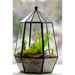 Terrario Geométrico de Vidrio Transparente Hecho a Mano, con Borde de Latón, Acabado Personalizado, Calidad Superior, para Hogar y Jardín, Cajas de Joyería de Primera Calidad, Más Vendido - Product Image 3