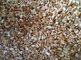 Noix de cajou brutes pour crème glacée, pâtisserie, biscuits, meilleur prix et haute qualité 2026 - Product Image 5