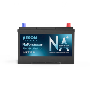 새로운 에이슨 파워 나포스 95D31L 나트륨 이온 자동차 배터리 12V 650CCA 33Ah 2700 사이클 5.9KG 경량 긴 수명 - Product Image 2