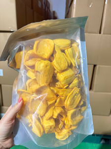 Golden Dried Jackfruit Crispy Snack Premium Quality Bulk Supply Private Label Vietnam Factory Export - Product Image 2