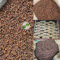Clous de girofle séchés indonésiens de qualité supérieure AB6 Lal Pari |   Fournisseur en gros d'épices Laung, tabac aromatique à usage culinaire, sacs PP de 25 kg, de confiance