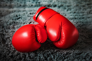 Gants de boxe professionnels absorbant les chocs pour l'entraînement au MMA, au kickboxing et à la remise en forme - Product Image 2
