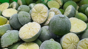 Chaux de ferme congelé de qualité pour l'exportation, frais et prêt pour l'exportation, dans un emballage en vrac - Product Image 6