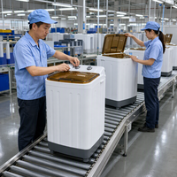 Lave-linge semi-automatique à chargement par le haut de 13 kg, fabriqué en Chine, avec bac, pour usage familial
