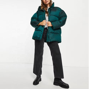 Veste matelassée pour femme, tissu confortable, vêtements d'extérieur d'hiver, imperméable, randonnée, course à pied, décontractée, col rabattu - Product Image 4