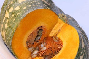 Calabaza Congelada IQF en Cubos, Suministro de Fábrica de Vietnam, Cubos de Calabaza Congelados a Granel, 24 Meses de Vida Útil - Sra. Tarina - Product Image 2