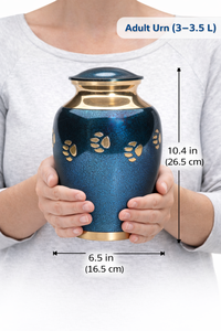 Urna Funeraria para Mascotas, Estilo Europeo y Americano, Personalizable, Duradera, con Huella Grabada, para Perros y Gatos - Product Image 4