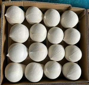 มะพร้าวกึ่งเปลือกมะพร้าวสดมาตรฐานส่งออกจากเวียดนาม - Product Image 4