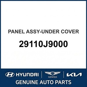 แผงข้างตัวถังและแผงควอเตอร์ Kona รุ่นใหม่ 29110J9000 - Product Image 1