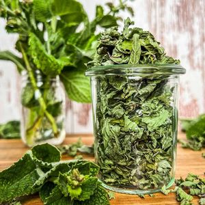 ใบสะระแหน่แห้ง EXPAD คุณภาพส่งออกจากโรงงานโดยตรง เมืองโฮจิมินห์ - Product Image 2