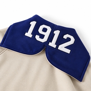 Sudadera con Capucha Varsity Personalizada, de Felpa Gruesa, con Apliques Bordados, para Equipos Universitarios, Estilo Urbano, Fabricante OEM - Product Image 5