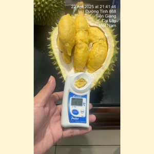 Durian Fresco Entero RI6, Fruta Tropical Amarilla Natural de Vietnam, 1.8-2.5 kg, 20-30 cm, Calidad Grado B, Sabor Rico, VH Food, 1 Mes de Duración - Product Image 1