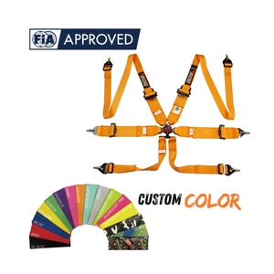 Arnés de Seguridad Profesional para Carreras FIA, Cinturón de 6 Puntos con Cierre de Aluminio para Auto de Carreras, OEM, ODM, Logotipo y Color Personalizados - Product Image 4