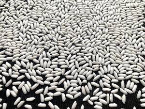 Arroz Glutinoso Orgánico de Grano Corto y Redondo de Alta Calidad |   Arroz Blanco Seco Premium Empacado en Bolsas de 1kg a 25kg - Product Image 5