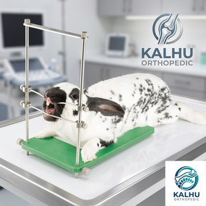 KALHU ORTHOPEDIC Espéculo Dental Ajustable de Acero Inoxidable Tamaño Conejo Clase II Instrumento Quirúrgico Veterinario de Tamaño Pequeño - Product Image 1