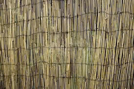 Valla de Bambú Natural de Vietnam para Jardín Exterior, Postes de Bambú Verdes - Product Image 6