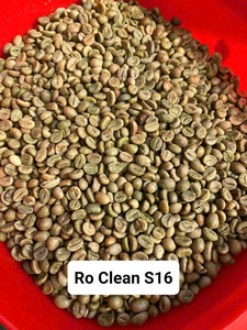 Grains de café vert Robusta vietnamien de qualité AA S16, polis ou non polis, en vrac - Product Image 3
