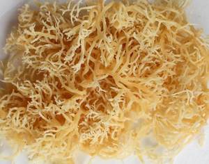 El mejor vendedor orgánico sazonado congelado Seamoss alta calidad exportación a granel variedad Laver estilo seco en bolsa de embalaje - Product Image 4